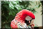 DSC_3248.jpg