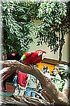 DSC_3250.jpg