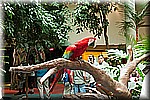 DSC_3251.jpg