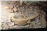 DSC_3255.jpg