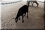DSC_3257.jpg