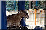 DSC_3262.jpg