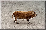 DSC_3263.jpg