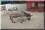 DSC_3266.jpg