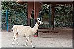 DSC_3267.jpg