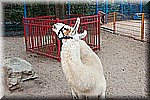 DSC_3269.jpg