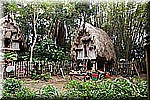 DSC_3273.jpg