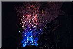 DSC_3330.jpg