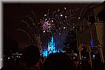 DSC_3342.jpg