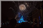 DSC_3343.jpg