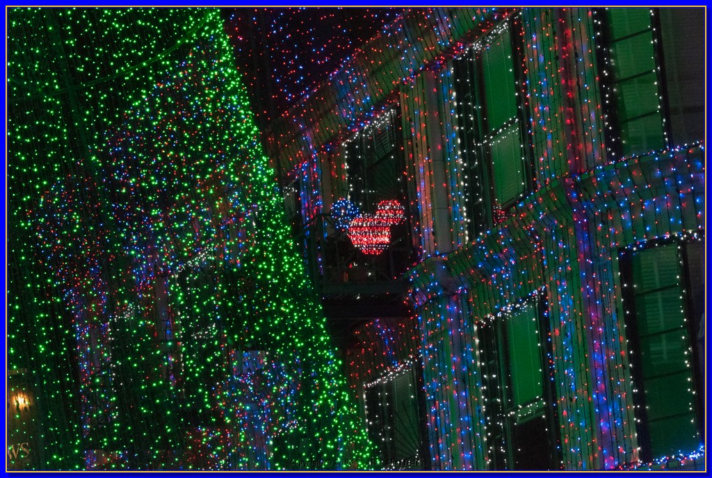 DSC_3695.jpg