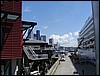 P6192100.JPG