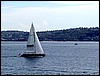 P6192141.JPG