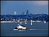 P6192149.JPG