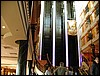 P6192175.JPG