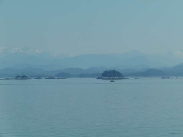 P6202254.JPG