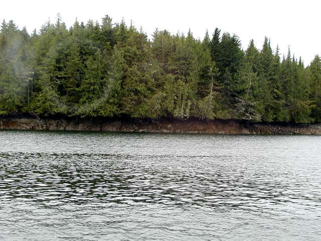 P6243167.JPG