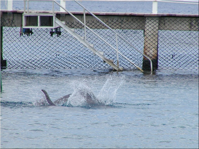 P3073926.JPG