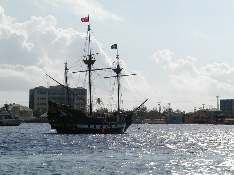 P3093968.JPG