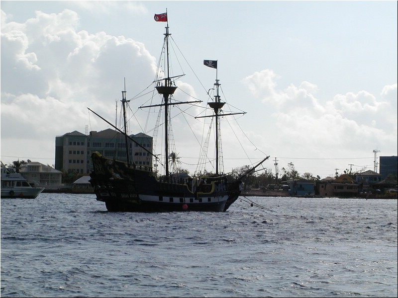 P3093969.JPG