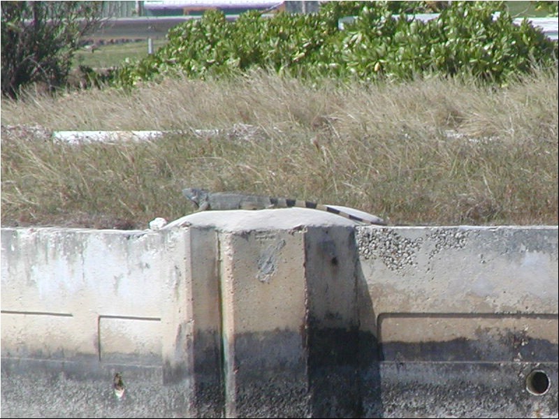 P3094007.JPG