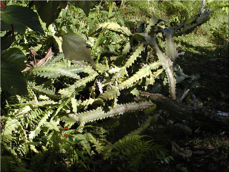 P3104044.JPG
