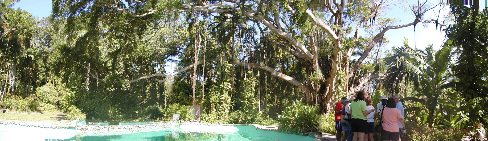 P3104059_pan.JPG