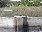P3094007.JPG