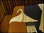 P3094014.JPG