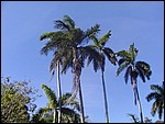 P3104024.JPG
