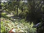 P3104041.JPG