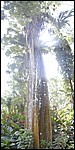 P3104051_pan.JPG
