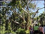 P3104057.JPG