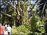 P3104063.JPG
