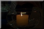 DSC_1209.jpg